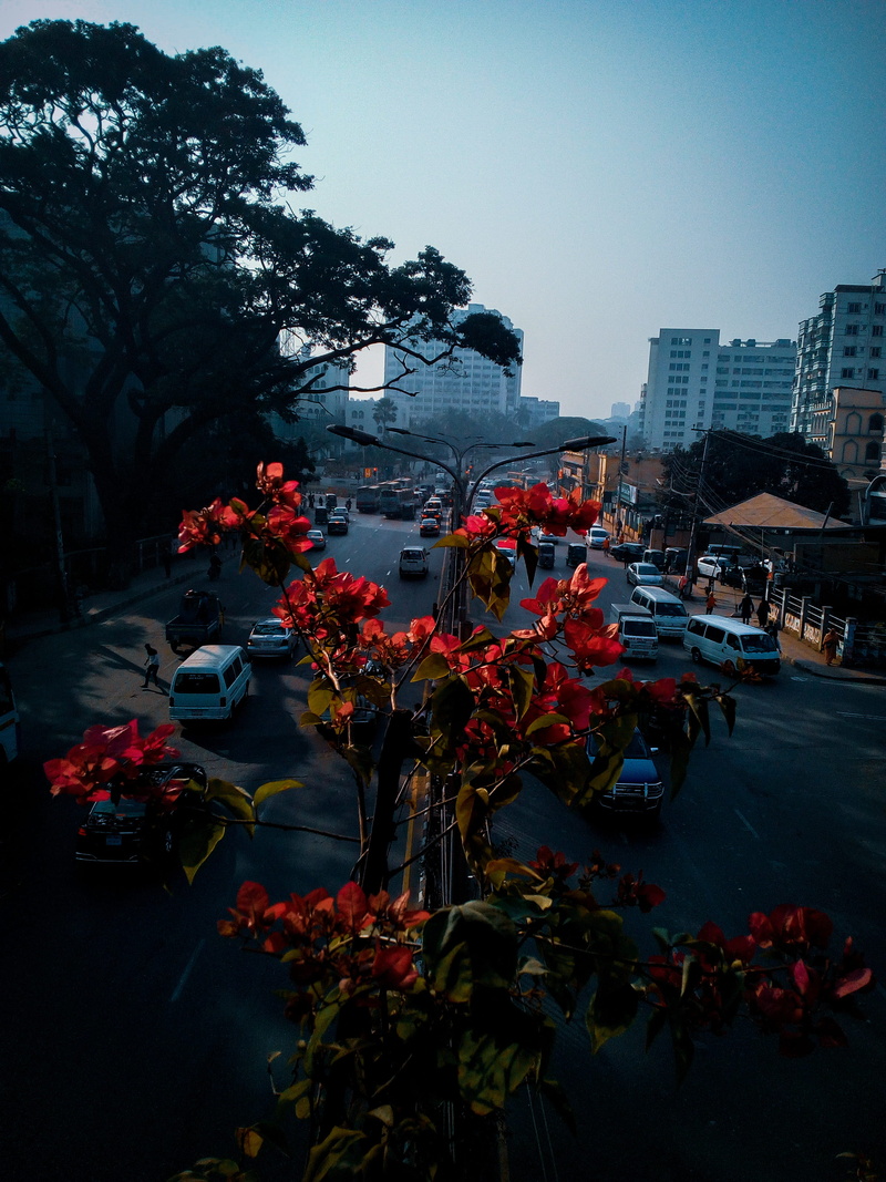 outdoors, land vehicle, building, sky, building exterior, plant, motor vehicle, transportation, boat, 2K, metropolis, town, dhaka, asphalt, no people