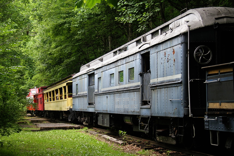 trunk, track, red, railroad, public transportation, forest, old, plant, united states, obsolete, freight car, railroad track, vehicle, land vehicle, 5K