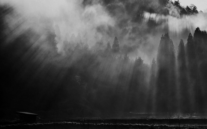 sunlight, environment, mist, hills, beauty in nature, tree, morning, fence, 1080P, monochrome, water, no people, day, nature, sun rays, motion, tranquility