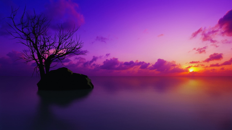 reflection, water, nature, sunset, near, tranquil scene, no people, tree, tranquility, scenics - nature, surround, rock, outdoors, sunlight, photo, 1080P