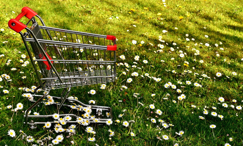 flower, high angle view, meadow, grass, retail, field, nature, shopping cart, beauty in nature, growth, consumerism, metal, sunlight, land, freshness, flowering plant