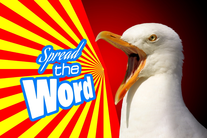 social media, vertebrate, collaboration, close-up, spread, advertising, seagull, illustration, people, poster, colored background, entrepreneurship, blogs