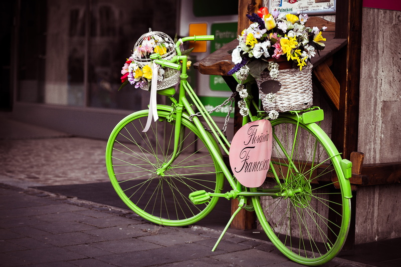 nature, flower, wheel, commuter, eternity, silence, shop, bicycle, city, street, flowers, land vehicle, sidewalk, basket, outdoors, decoration, flowering plant