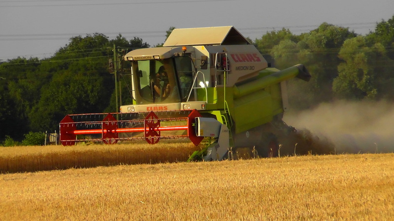 Combine Harvester, tractor, cereal plant, mode of transportation, harvest, 2K, machinery, spike, tree, farm, land, agricultural machinery, green, crop