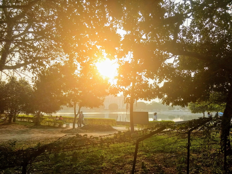 tranquil scene, field, india, tranquility, no people, sun, scenics - nature, tree, sunlight, 4K, boundary, outdoors, park, lens flare, barrier, bright