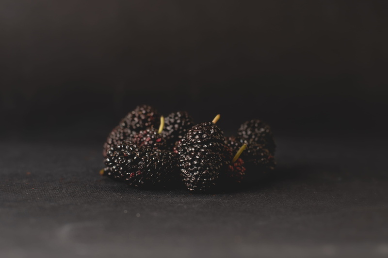 shiraz, nature, yellow, cherry, creme, cake, single object, food, black background, strawberry, healthy eating, wellbeing, plant, confectionery, berry