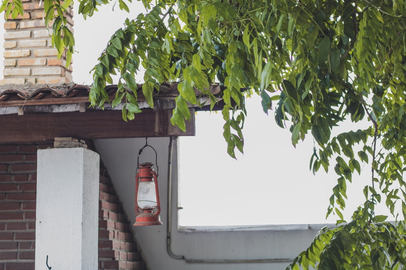 farm, day, tree, low angle view, growth, pernambuco, nature, luminária, leaf, light fixture, plant part, no people, lamp, wall, rustic, outdoors, plant