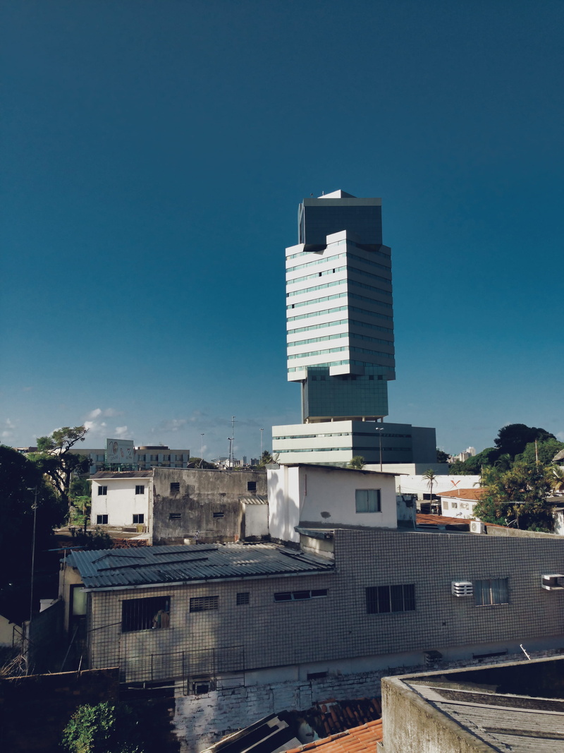 tree, recife, sky, copy space, pina, blue, architecture, clear sky, plant, building exterior, apartment, city, day, skyscraper, residential district, window