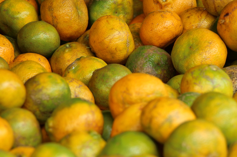 sale, orange - fruit, pernambuco, farmer, backgrounds, no people, abundance, ripe, fresh food, healthy eating, food and drink, fruit, recife, citrus fruit