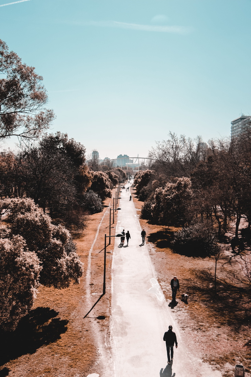 building, men, leisure activity, fir, outdoors, asphalt, woodland, architecture, sunlight, angle, sky, town, walking, road, rear view, city, incidental people