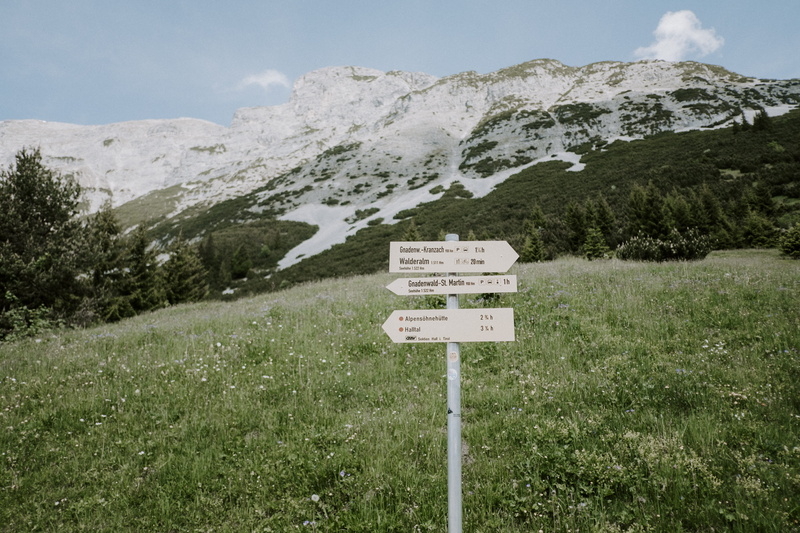 grassland, 5K, green, scenics - nature, forest, text, communication, grove, information, crest, no people, countryside, day, nature, tranquil scene, near