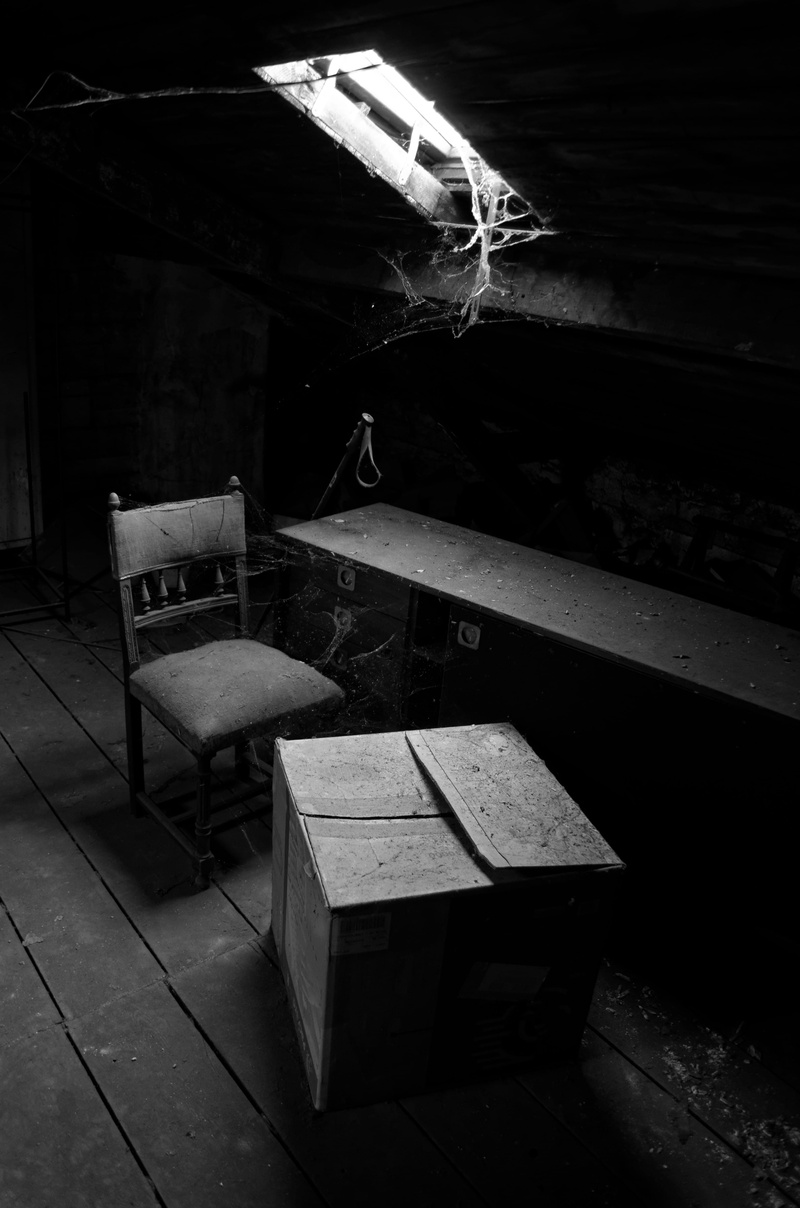 domestic room, france, wood - material, built structure, old, wood, box, nature, furniture, no people, absence, high angle view, abandoned, chair, dark