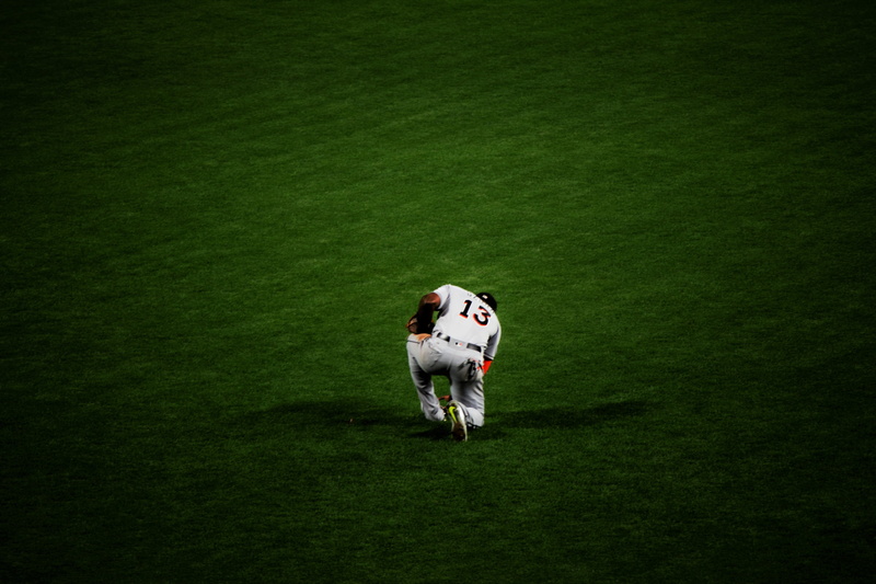 high angle view, luck, player, white color, belt, baseball, green, pray, animal themes, lights, canine, mitt, shadows, mammal, night, pets, stadium, dog