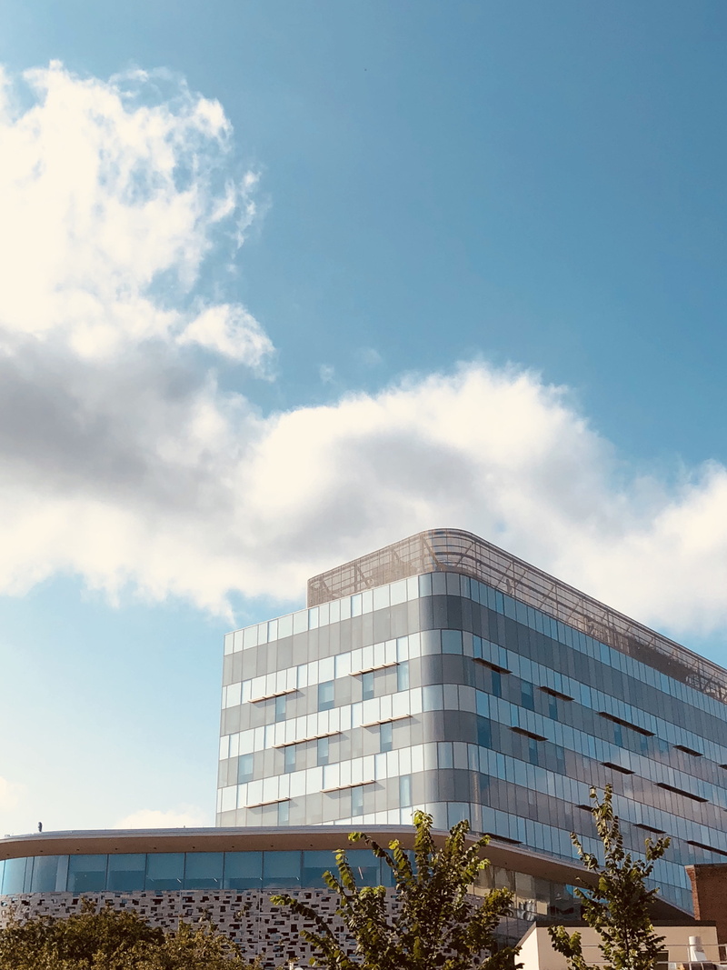 building, cambridge square, city, outdoors, photographer, cambridge, plant, boston, mit, sunlight, tree, office, office building exterior, low angle view