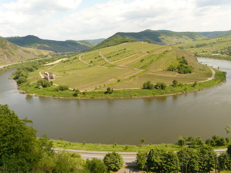 green Color, idyllic, scenics - nature, rural Scene, environment, 2K, river loop, scenics, reflection, day, tranquility, Mosel, plant, tranquil scene