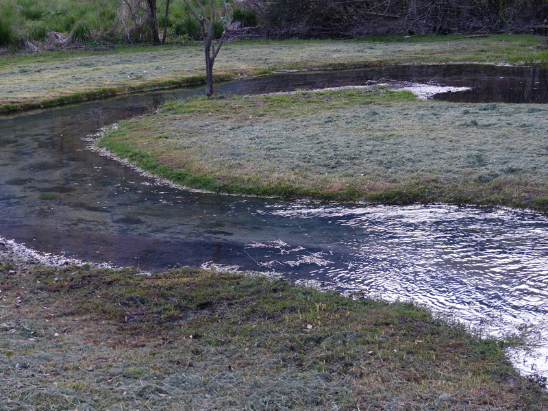 trentino, environment, scenics - nature, Meander, grass, River, land, no people, flowing water, meander, flowing, tranquility, of course, plant, italy