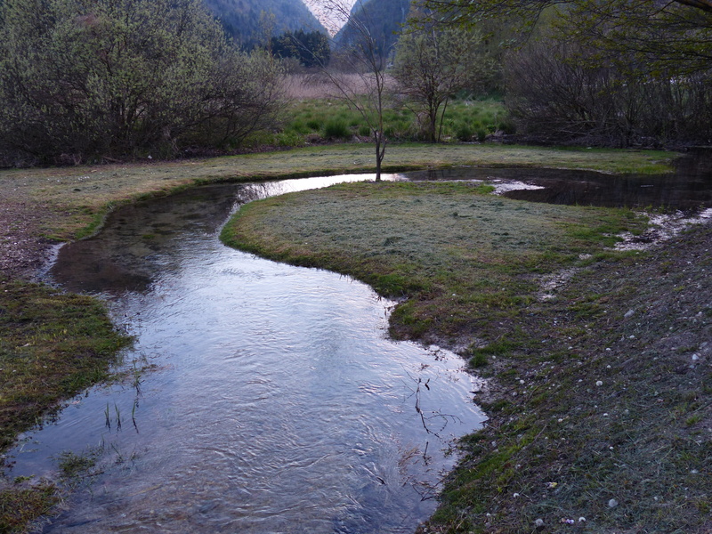 river, plant, river loop, downloading, tranquil scene, meander, valle di ledro, outdoors, environment, tranquility, growth, landscape, scenics - nature