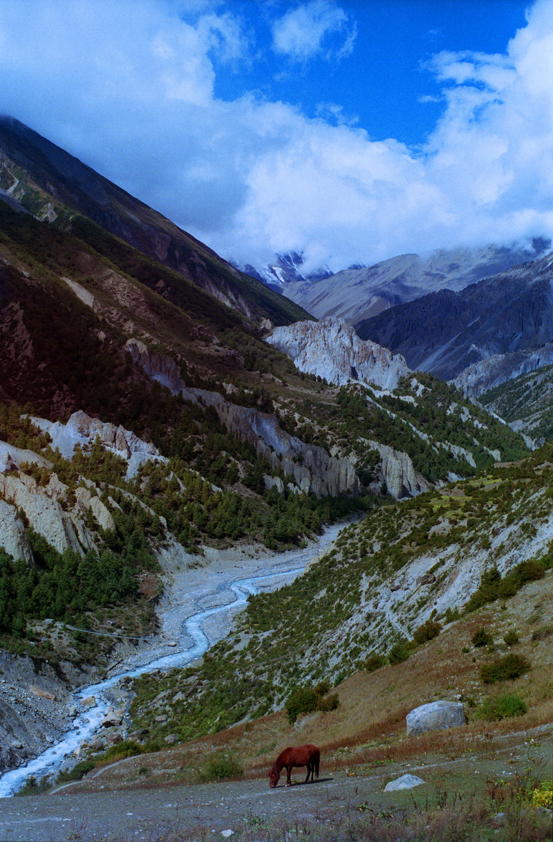 skyhigh, meander, sky, horse, 5K, outdoors, wanderlust, landscape, cloud - sky, mountains, animal themes, mammal, tranquil scene, no people, dreamy, tranquility