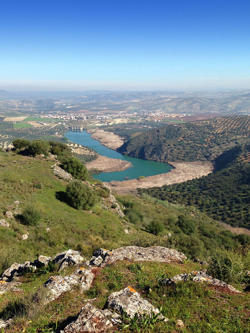 outdoors, 1080P, non-urban scene, water, environment, high angle view, Sky, aerial view, Meander, Panoramic, tree, tranquil scene, blue, river, no people