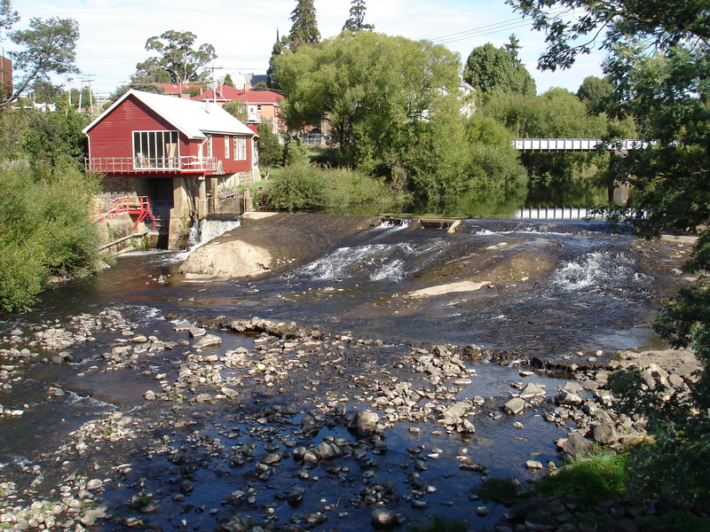 meander river, plant, water, river, 1080P, land, residential district, built structure, house, australia, sky, building exterior, growth, day, nature