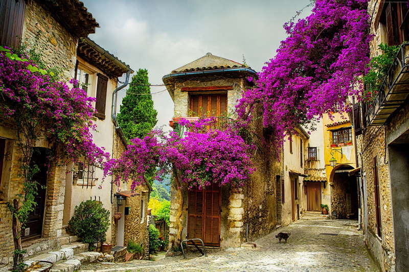 Travel, Tourism, Provence, 2K, France