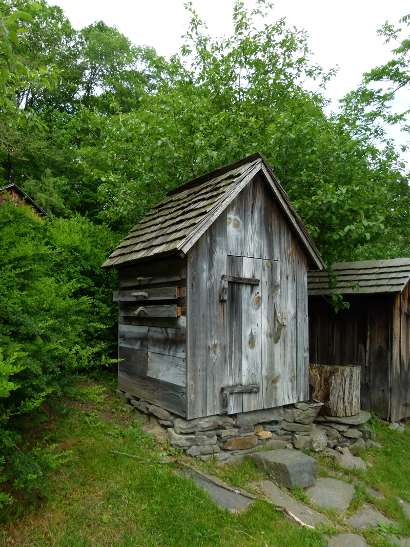 built structure, barn, farm, growth, outdoors, land, field, Smokehouse, outdoor, house, plant, nature, forest, wood - material, Rural, no people, 4K, cabin