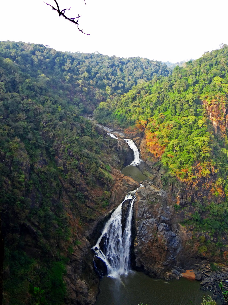 forest, flowing water, water fall, tranquility, 4K, long exposure, power in nature, magod falls, scenics - nature, cascades, solid, karnataka, flowing
