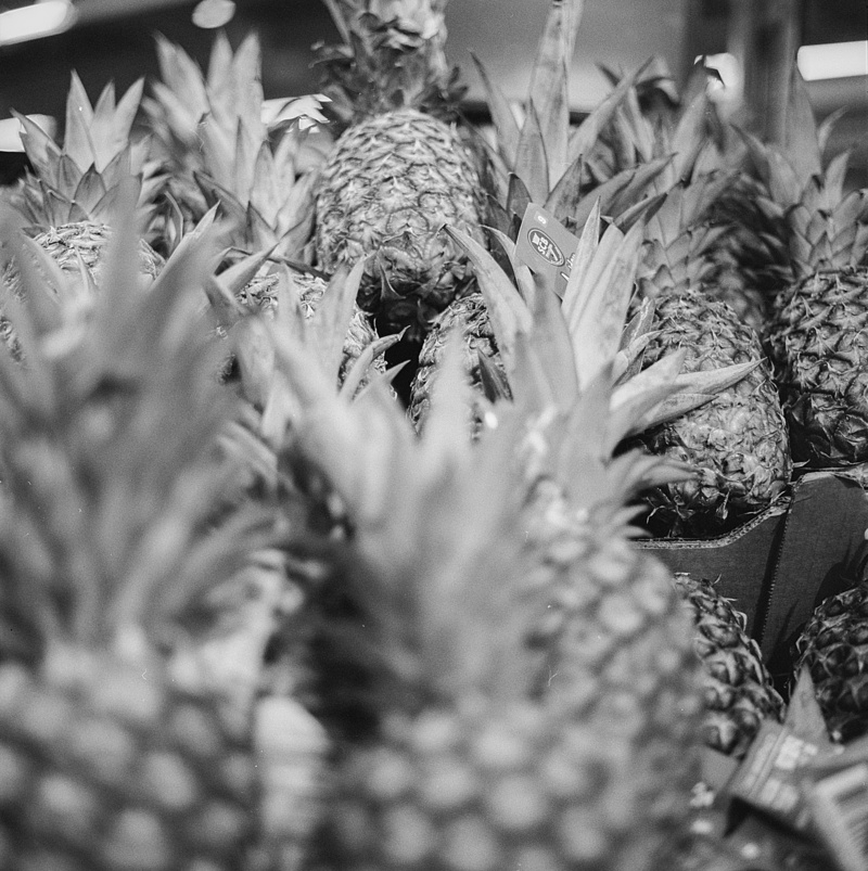 customer, close-up, herb, pineapple, store, buying, raw, juicy, retail, shopper, leaf, green, nature, natural, sale, medicine, healthy, organic, no people