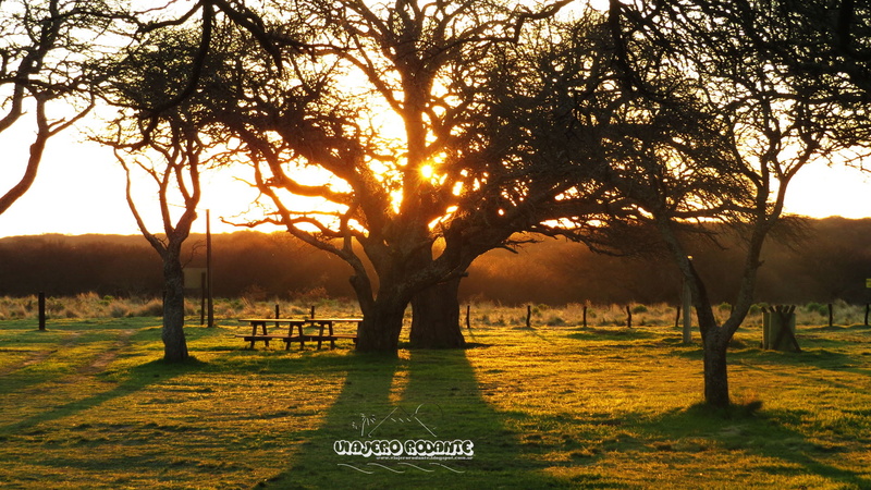 land, tree, tranquil scene, tranquility, outdoors, sky, sunset, plant, no people, Travel posters, park, park bench, sun, grass, growth, sunlight, seat
