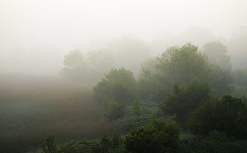 bulgarien, Nature, Europe, priroda, 5K, Green, natur, bulgaria, bulgarie, primorsko, foggy, bulharsko, Others, landscape