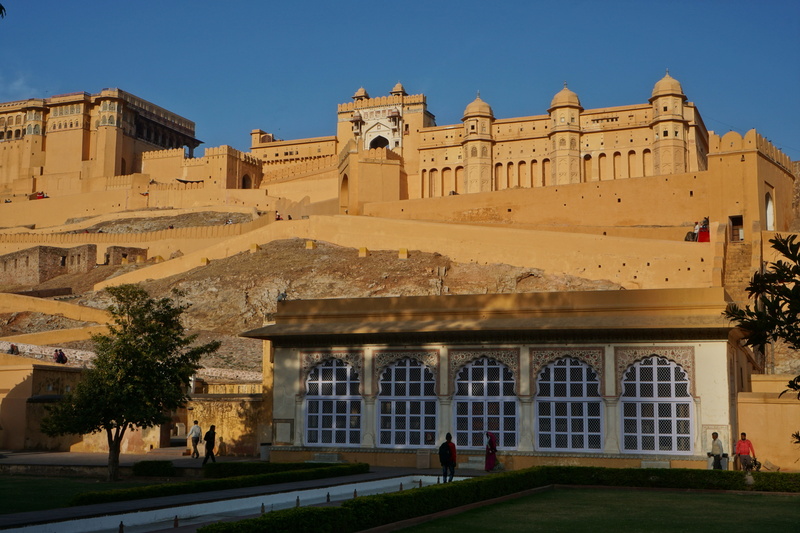 sky, plant, clear sky, the past, tree, jaipur, building, amber fort, architecture, travel destinations, palace, day, outdoors, nature, sunlight, antiquity