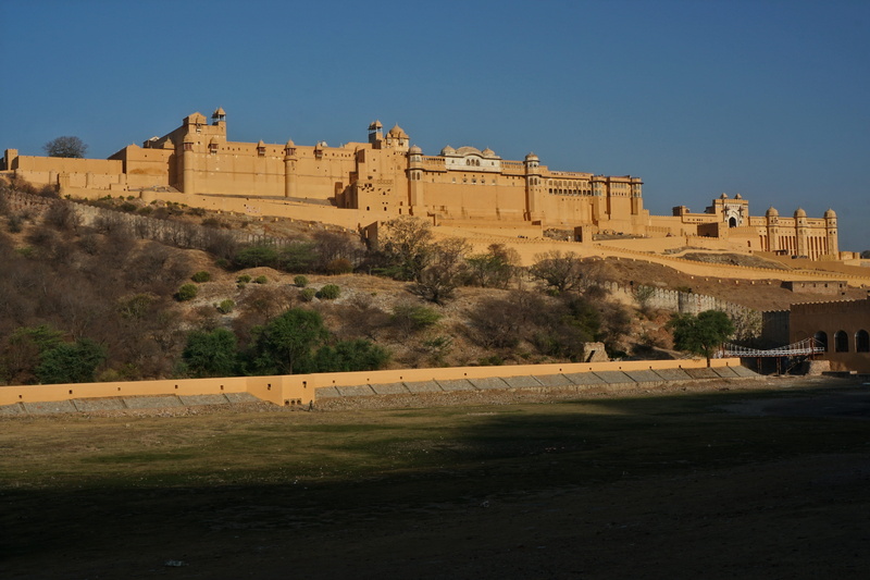 history, travel destinations, plant, tree, jaipur, travel, no people, tourism, building exterior, architecture, the past, nature, fort, sky, panorama, day