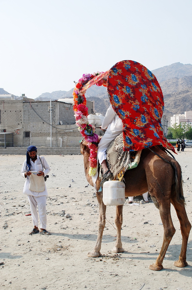 mammal, walking, indian Culture, two people, real people, land, vertebrate, men, Face, full length, adults only, ride, Desert, pushkar, asia, Travel, domestic animals