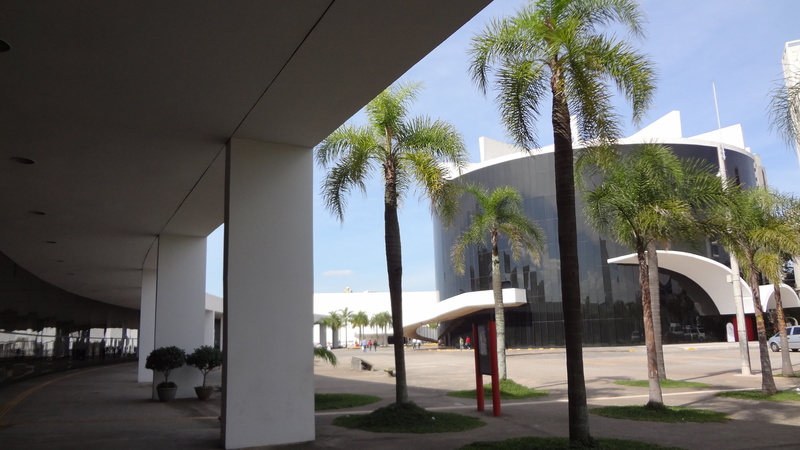 sky, tree, sunlight, clear sky, oscar niemeyer, palm tree, shadow, luxury, modern, architecture, city, outdoors, day, 4K, built structure, building, no people