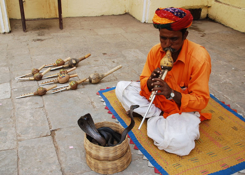 occupation, snake charmer jaipur, amer fort jaipur tour, basket, container, headwear, adult, real people, traditional clothing, front view, full length