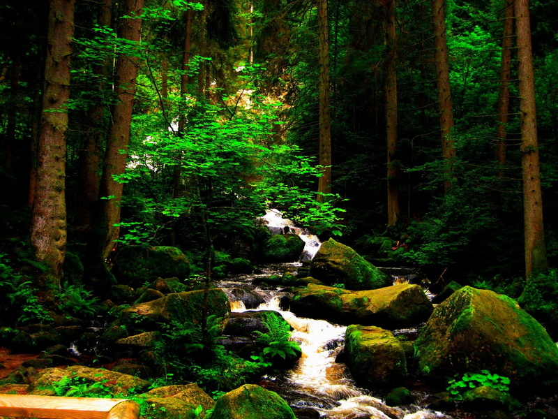 stream, waterfall, 3d and abstract, moss, gentle, rocks, forest, 1080P, green, nature, beautiful