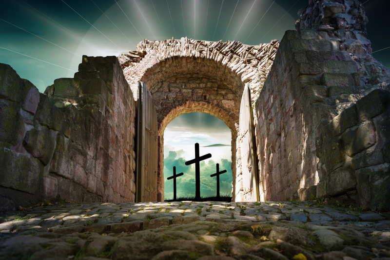 goal, castle wall, old ruin, indoors, cross, wood, round arch, middle ages, wall, day, arch, sunlight, nature, stone wall, wall - building feature, the past