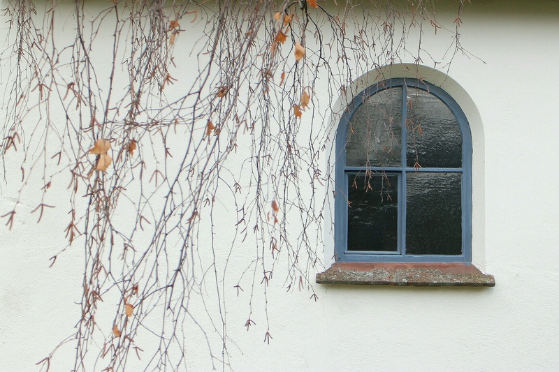 window frame, built structure, building, building exterior, tree, no people, growth, home, round arch, wall - building feature, old, house, window, transparent