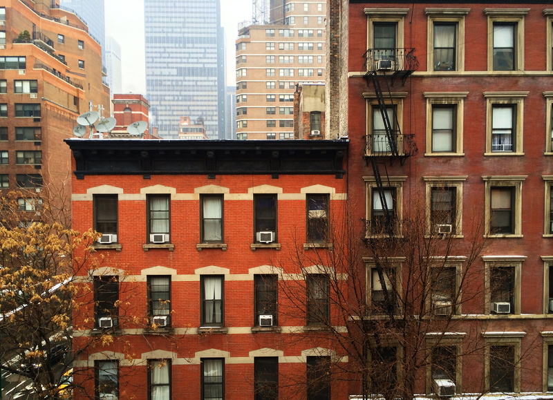trees, apartment, red, new York City, day, orange, residential building, color Image, plant, urban Scene, tree, nature, sunlight, manhattan - New York City