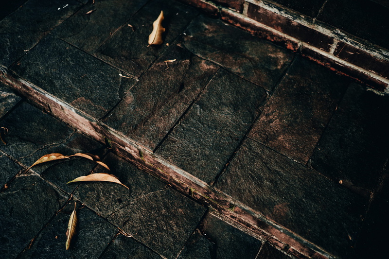 slate, 4K, outdoors, plant, moody, manmade, clothing, autumn, lumber, steps, leaves, porch, leaf vein, change, texture, mood, plant part, falling, dried