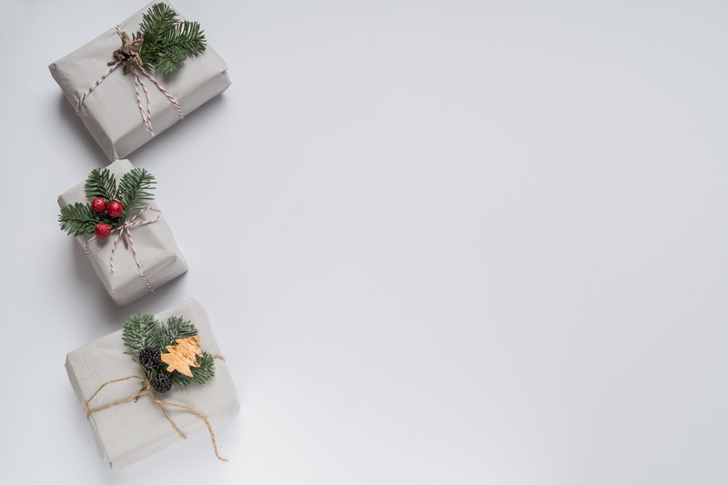 5K, decoration, studio shot, december, celebration, accent, christmas, potted plant, gift, ribbon - sewing item, happy holidays, leaf, green