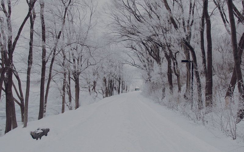 no people, 4K, winter, covering, snowcapped mountain, cold temperature, nature, romantic, plant, mountain, snowing, frozen, direction, scenics - nature