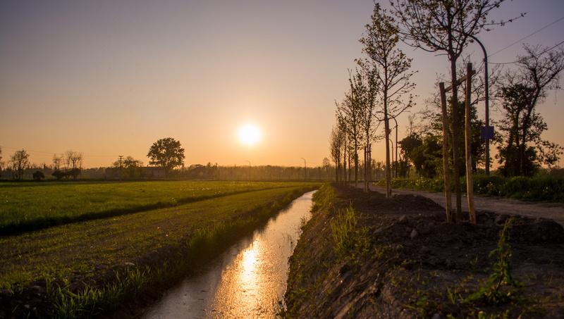 growth, outdoors, landscaspe, the way forward, tree, sky, trees, river, beauty in nature, direction, scenics - nature, lens flare, tranquil scene, road