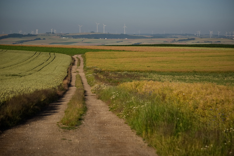 outdoors, tranquil scene, path, meadow, landscape, clouds, green, direction, hiking, road, field, mood, farm, the way forward, sky, grass, tranquility