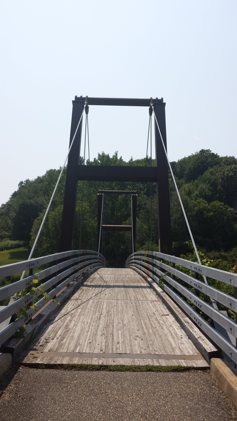 outdoor play equipment, forest, railing, built structure, footbridge, 4K, no people, bridge - Man Made Structure, park - man made space, wood - material