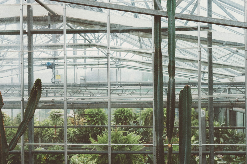 industry, plants, greenhouse, tree, transparent, garden, inside, canada, plant, building, pottery, vegetation, burlington, glass - material, scaffolding