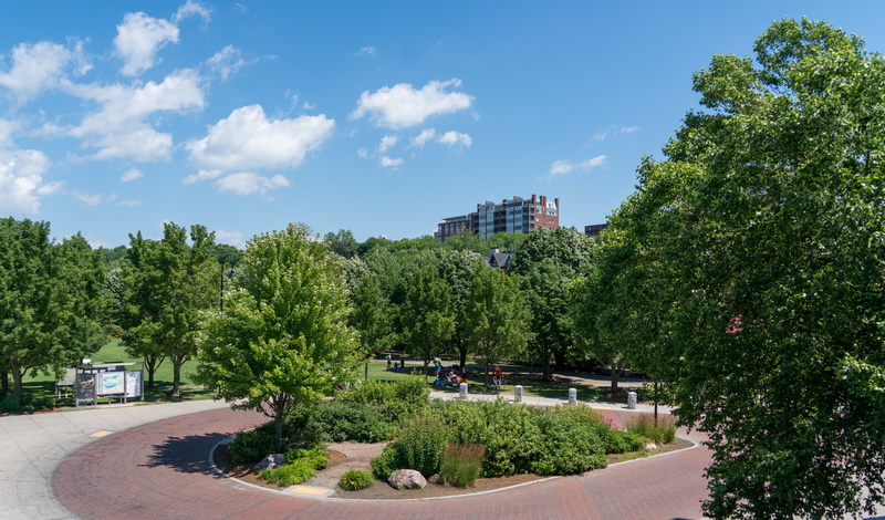 calm, cloud - sky, clouds, landscape, Burlington, peaceful, built structure, outdoors, residential district, road, green, growth, lake champlain, Garden