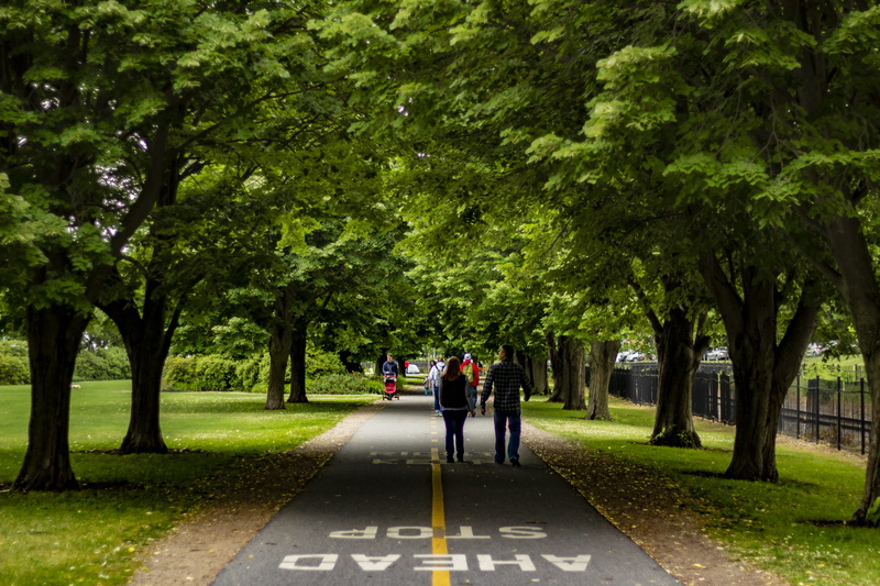 serene, drive, the way forward, day, outdoors, trees, direction, love, vt, road, greenery, 5K, footpath, plant, real people, full length, tree, nature