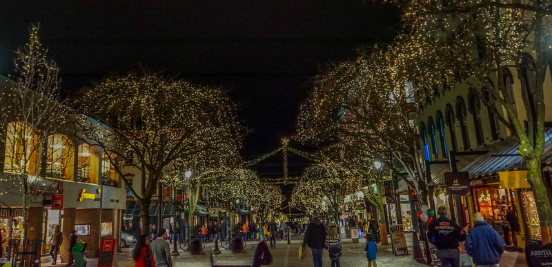 street, group of people, lights, burlington vermont, new england, christmas tree, 5K, night, building exterior, cityscape, large group of people, holiday