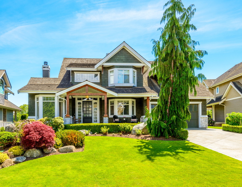 growth, home Ownership, front or Back Yard, outdoors, new, sky, tree, no People, plant, window, built Structure, architecture, formal Garden, wealth, green